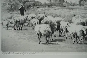 Maarten Langbroek - Voorjaar op Texel kopen? Bied vanaf 20!