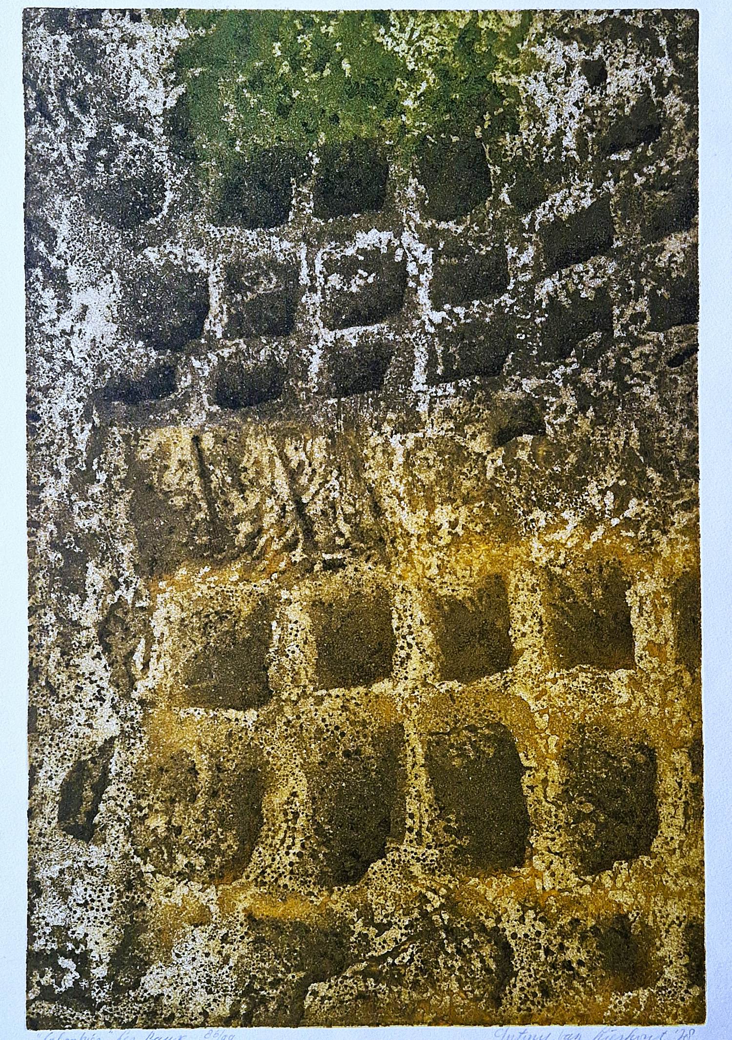 Antony van Lieshout - Grote kleuren ets "Colombier les Beaux" beperkte oplage (99) potloodges. kopen? Bied vanaf 44!