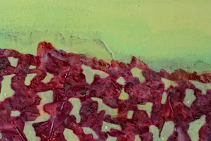 Ad van Riel - Panorama (24) kopen? Bied vanaf 80!