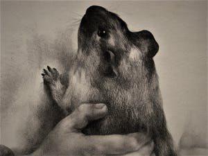 Aart van Dobbenburgh - Zeer bep. Oplage van 25 ! 1960 Ets "Kinderhanden" gesigneerd kopen? Bied vanaf 20!