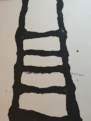 Armando - die Leiter kopen? Bied vanaf 450!