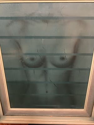 Antoon Torrekens - Torso vrouw kopen? Bied vanaf 750!