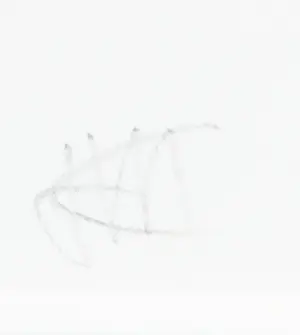 Kim Heesakkers - Foto, Mississippi - Ingelijst (Groot) kopen? Bied vanaf 1!