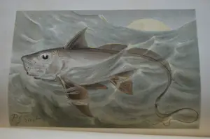 Antiquarisch Boek - The Royal Natural History (6 delen compleet) 1893 kopen? Bied vanaf 175!