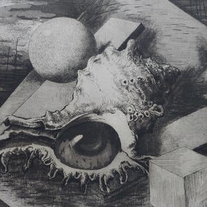 Hans van Dokkum - Het Schelpenoog kopen? Bied vanaf 35!