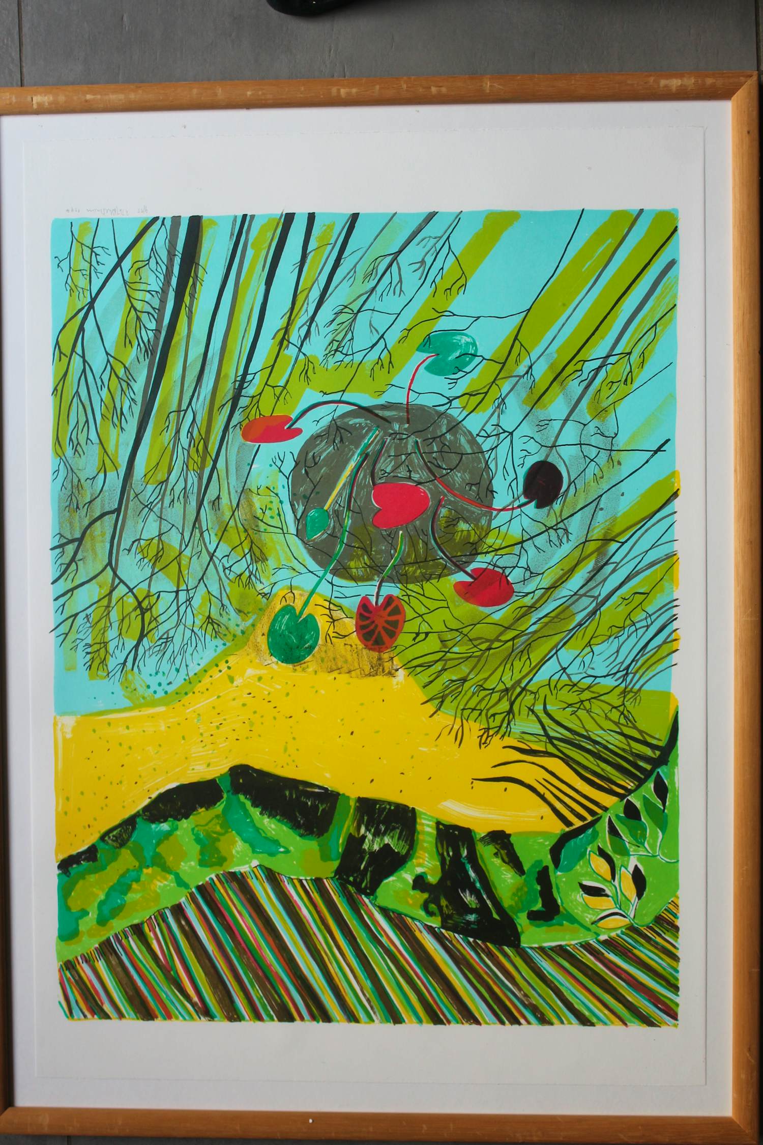 Dorian Hiethaar - Vijver kopen? Bied vanaf 100!