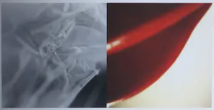 Paul Versteeg - Foto, Dynamiek - Ingelijst kopen? Bied vanaf 50!