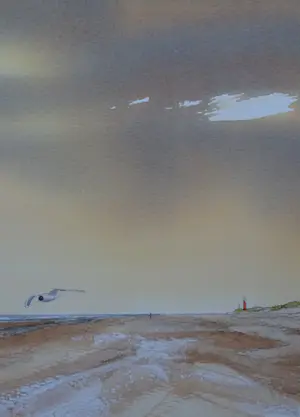 Franklin Meijer - Texel - Strand Vuurtoren de Cocksdorp kopen? Bied vanaf 49!