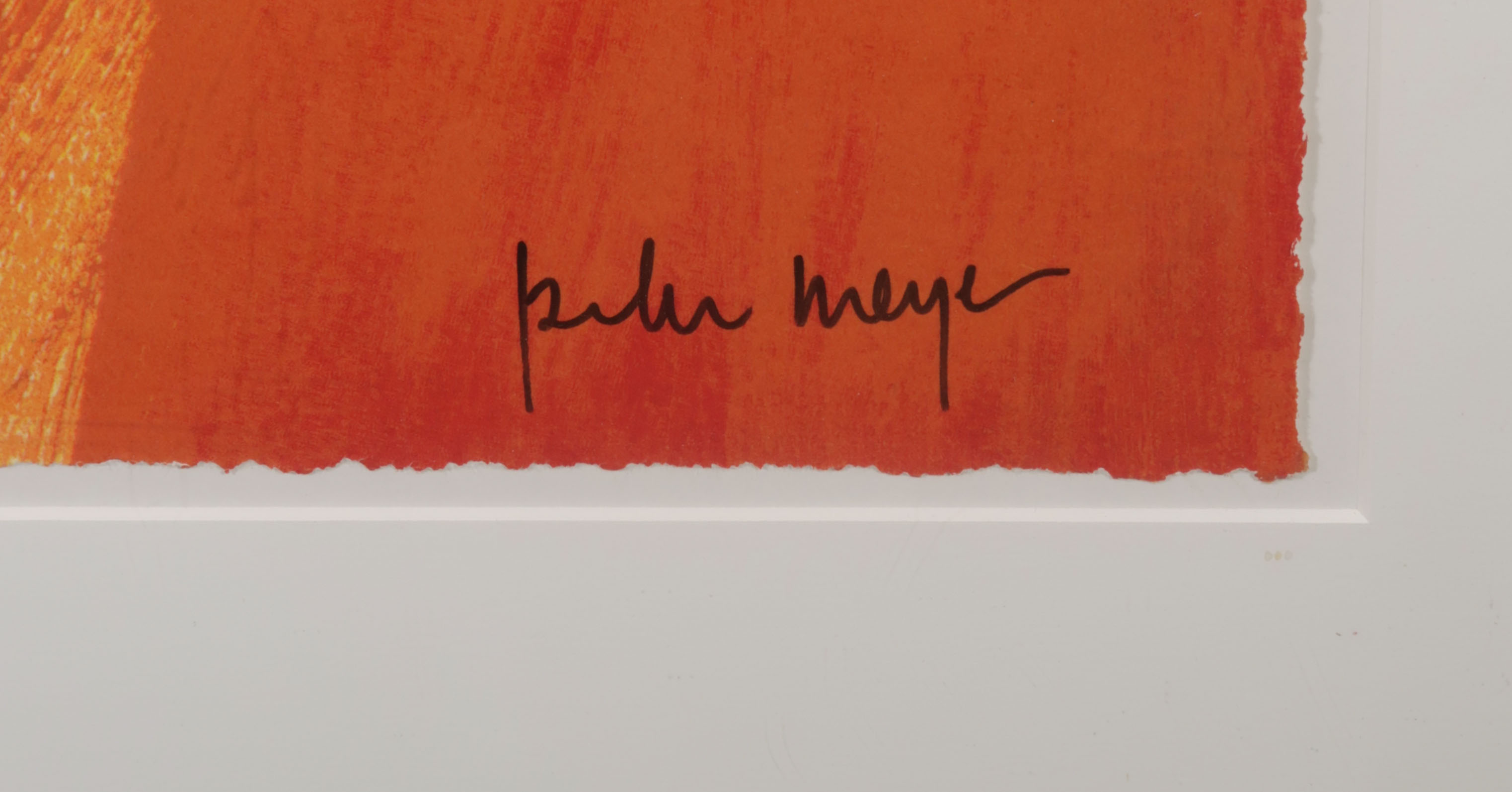 Peter Meijer - Zeefdruk, Pascalle - Ingelijst (Groot) kopen? Bied vanaf 75!