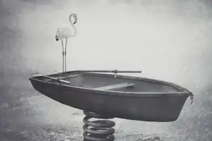 AcheterSarolta Bàn - 'Hoog & Droog' (2012)? Enchérissez de 80!