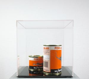Servaas - Twee blikken met Fish Air in plexiglazen kubus, Int. Fish-handel Servaas & Zn. kopen? Bied vanaf 1!