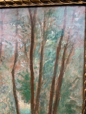 Xavier De Cock - Boszicht / Sous-bois kopen? Bied vanaf 69!