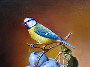 Alfonso Moreno - Schilderij stilleven pimpelmees op pruimen in een schaal. kopen? Bied vanaf 235!