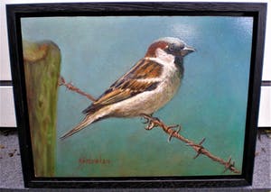 Hans Habraken - Mus op prikkeldraad kopen? Bied vanaf 275!