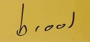 Herman Brood - Guitar man - Nieuw ingelijst (Groot) kopen? Bied vanaf 525!