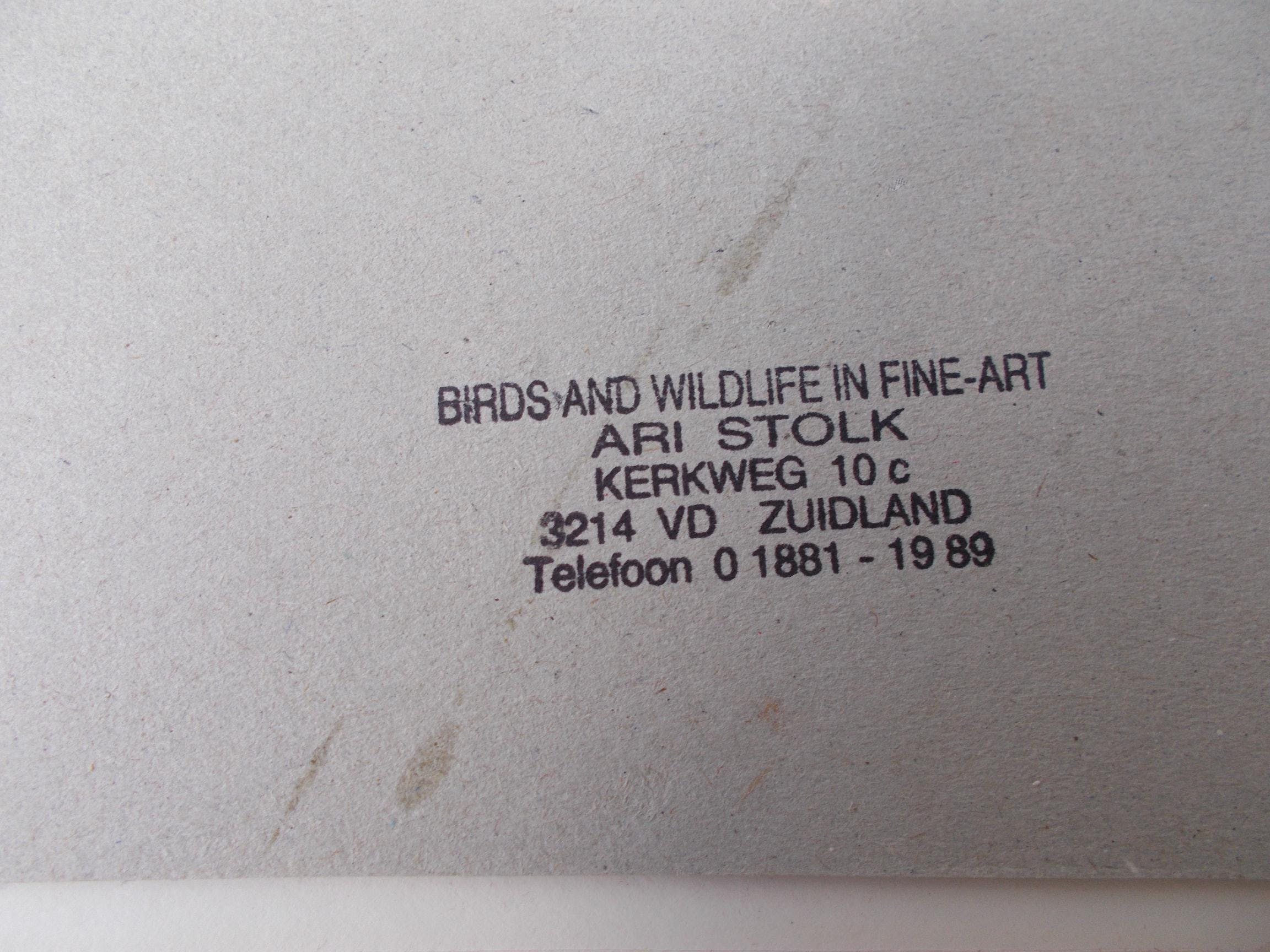 Ari Stolk - Boommarter in de Scheelhoek kopen? Bied vanaf 75!