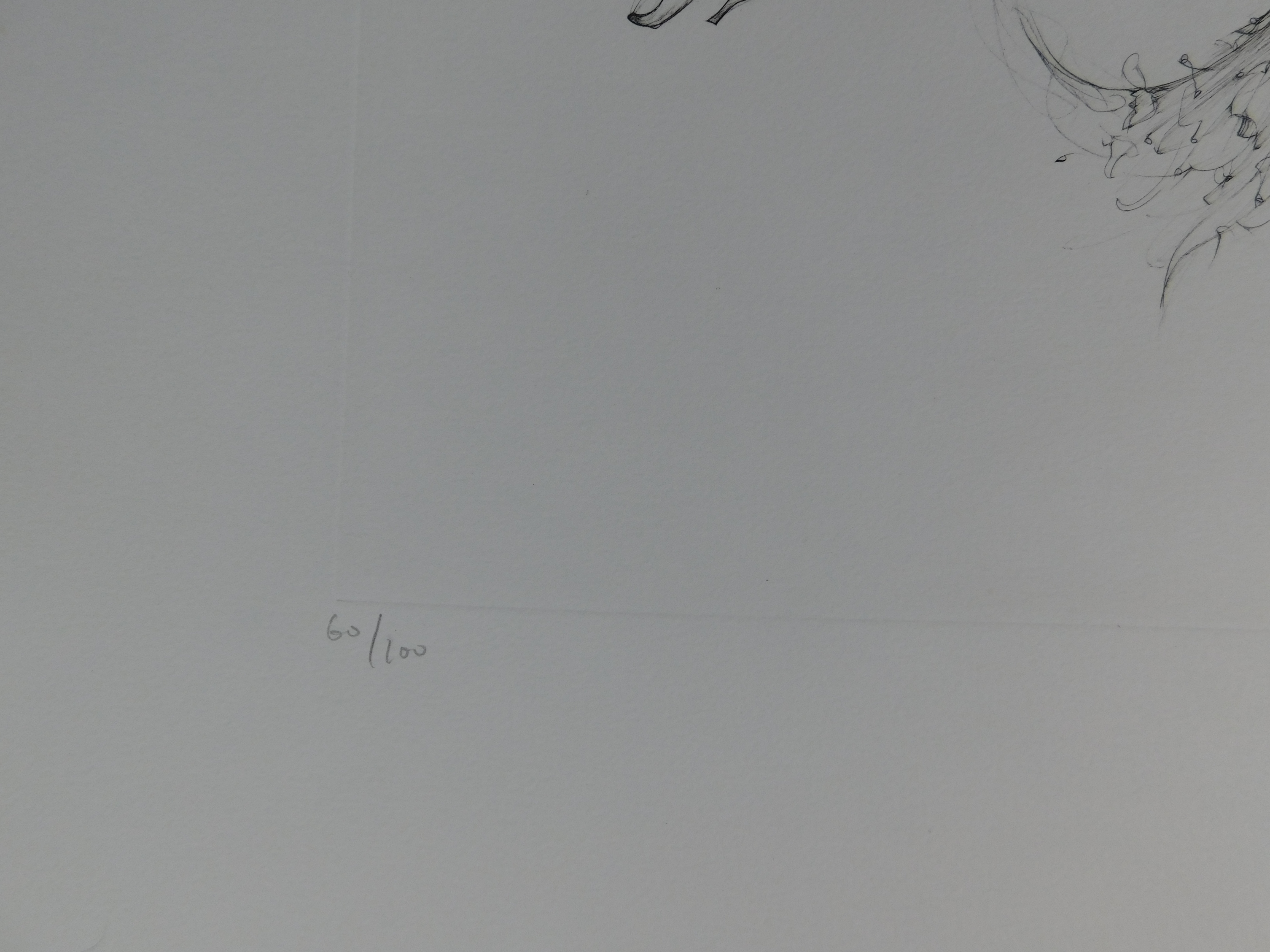 Leonor Fini - La Sorciere sur le Balai kopen? Bied vanaf 60!