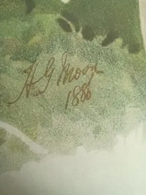 Henry George Moon - Originele Chromolithografie ‘Reichenbachia’ 1888 kopen? Bied vanaf 85!