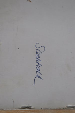 Ari Stolk - Slechtvalk kopen? Bied vanaf 25!