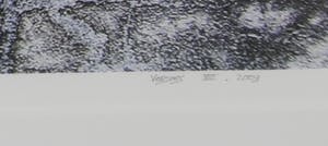 Mark Verdoes - Giclee, Buddhalove lotussteen - Ingelijst kopen? Bied vanaf 1!