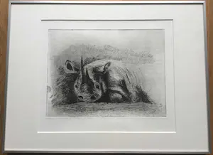 Hetty Heyster - witte neushoorn | zeldzame ets van gerenommeerd beeldhouwster - ingelijst kopen? Bied vanaf 40!