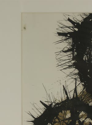 Jaap Kraanen - Litho, Bloemmotief - Ingelijst kopen? Bied vanaf 1!