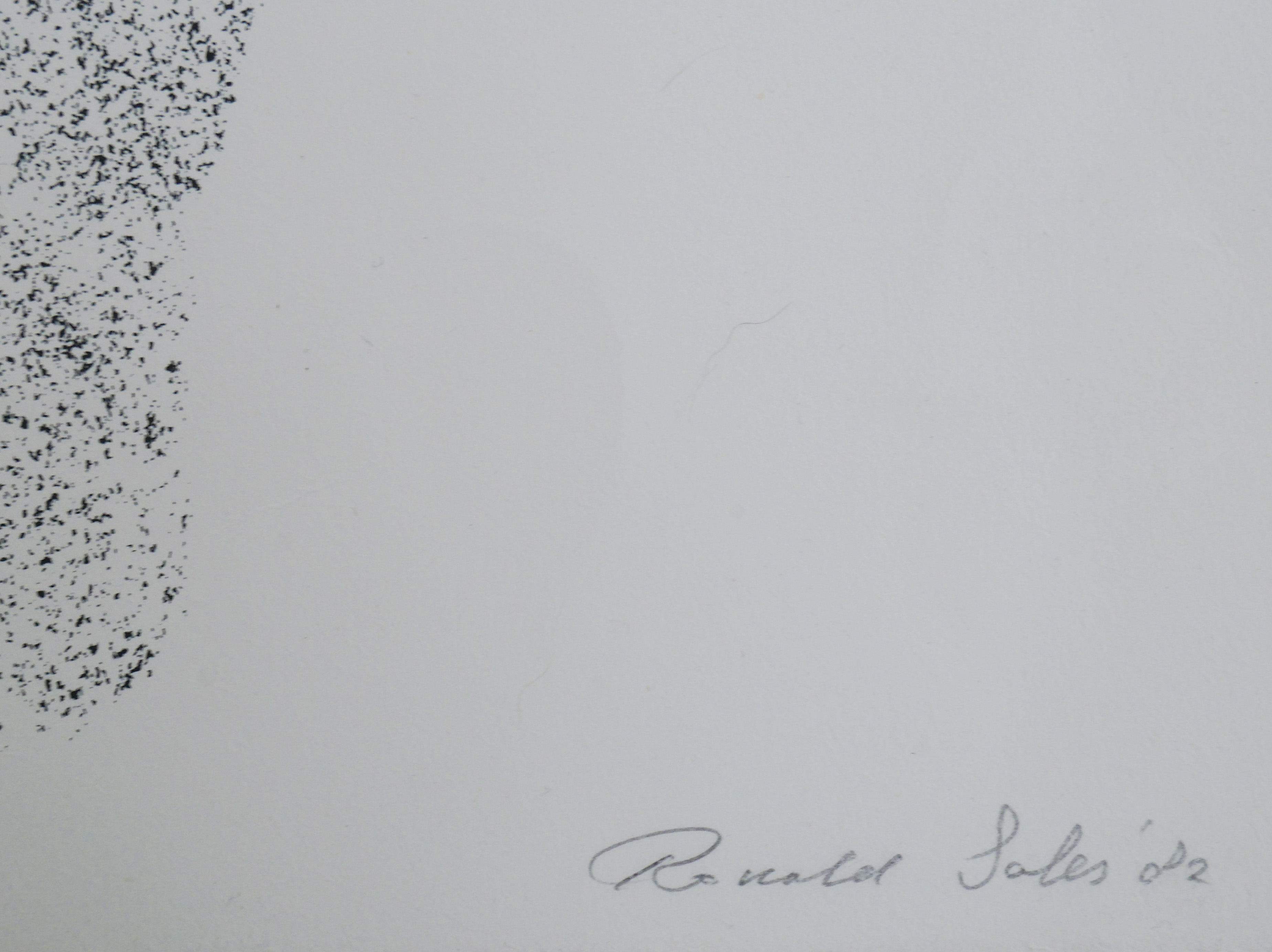 Ronald Sales - Zonder titel kopen? Bied vanaf 1!