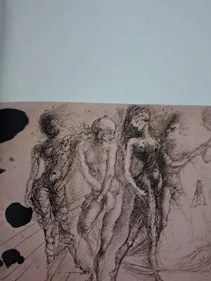 Salvador Dali - Carnets érotique kopen? Bied vanaf 40!