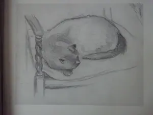 Antiquarisch Boek - Piet Hein van Asperen, lven en werk 1895-1969 kopen? Bied vanaf 35!