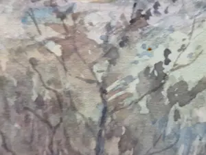 Frans Slager - Bergensche Hoogland (Remscheid) kopen? Bied vanaf 200!