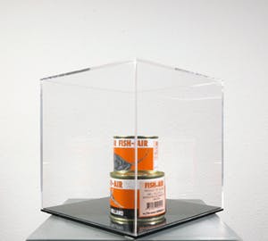 Servaas - Twee blikken met Fish Air in plexiglazen kubus, Int. Fish-handel Servaas & Zn. kopen? Bied vanaf 1!
