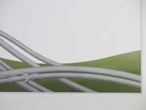 Marinus Fuit - Slangen in Landschap - Kleurenlitho kaufen? Bieten Sie von 38!