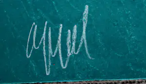 Karel Appel - Houtdruk met carborundum: Circus serie: Clown au Serpent - 1978 kopen? Bied vanaf 1999!