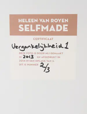 Heleen van Royen - C-print op dibond, Vergankelijkheid I kopen? Bied vanaf 350!