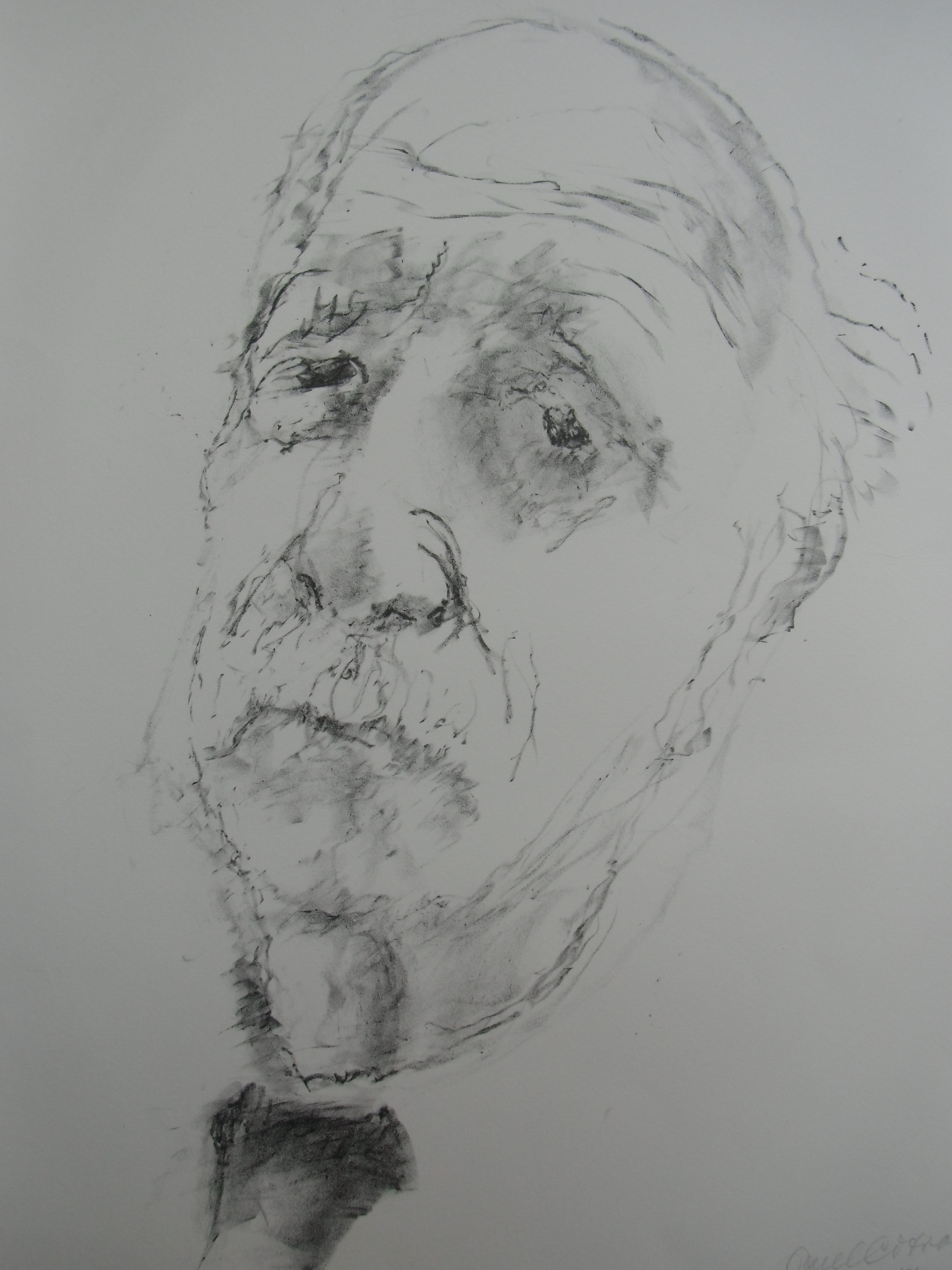 Paul Citroen - PORTRET VAN KEES VERWEY /// LITHO VAN PAUL CITROEN verkocht voor € 50!