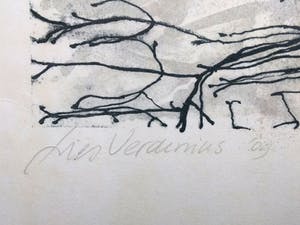 Lies Verdenius - Litho "Ten juan" Koikarpers oplage 7/9 kopen? Bied vanaf 35!