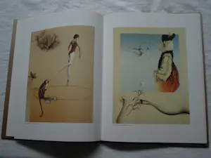 Michael Parkes - Gesigneerde en ingelijste litho ‘Swan King’ + Boek - 1982 kopen? Bied vanaf 400!