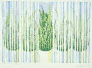 Bertha Haak - Litho, Vrouwentongen (Sansevieria) kopen? Bied vanaf 1!