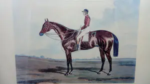 Harry Hall - Nutwith, the winner of the Great St. Leger Stakes at Doncaster 1843 kopen? Bied vanaf 50!