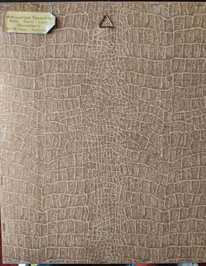 Jacob Kuyper - - Litho Gemeente Nunen - uitgever H. Suringar te Leeuwarden - +/-1865 kopen? Bied vanaf 20!