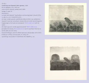 Charles Donker - Steenuil, ets (zeldzaam) kopen? Bied vanaf 450!