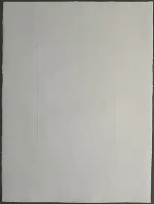 Ronald Tolman - gesigneerde ets kopen? Bied vanaf 69!