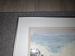 Daniëlle Orelio - Branding kopen? Bied vanaf 25!