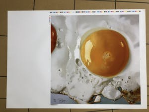 Tjalf Sparnaay - Ei/EGG kopen? Bied vanaf 325!