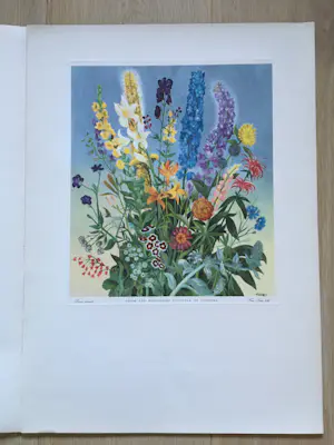 Eppo Doeve - Flower Prints from the Whitbread Calendar 1955 kopen? Bied vanaf 30!