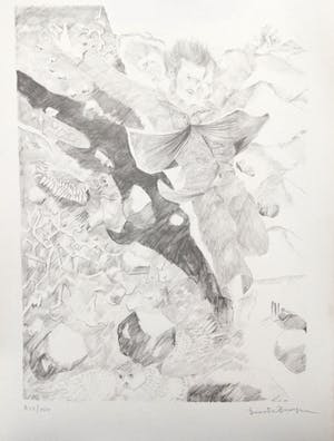 Dees De Bruyne - MISTRAL 3 LITHOS kopen? Bied vanaf 45!