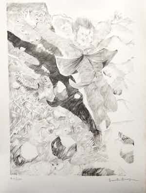 Dees De Bruyne - MISTRAL 3 LITHOS verkocht voor € 45!