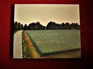 Erna van Mondfrans - Fraai verstild realistisch olieverf "Huis in de Provence Frankrijk" gesigneerd verkocht voor € 80!