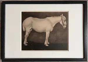 Jan Mankes - Originele Heliogravure Wit Paard 1923 kopen? Bied vanaf 165!