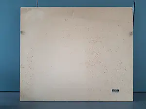 Willem van Konijnenburg - Het Park 1907 kopen? Bied vanaf 100!